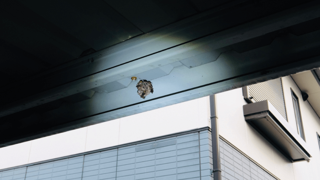 蜂の巣　自分で駆除